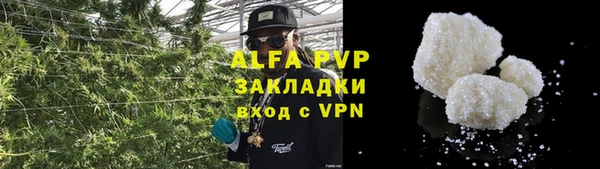 прущие грибы Беломорск