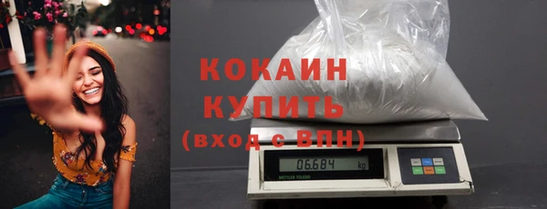 прущие грибы Беломорск
