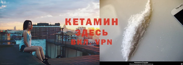 прущие грибы Беломорск