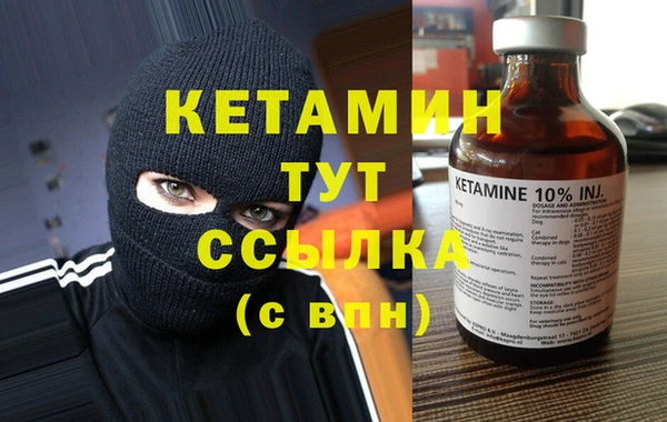 прущие грибы Беломорск