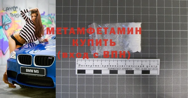 прущие грибы Беломорск