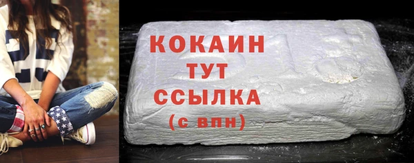 прущие грибы Беломорск